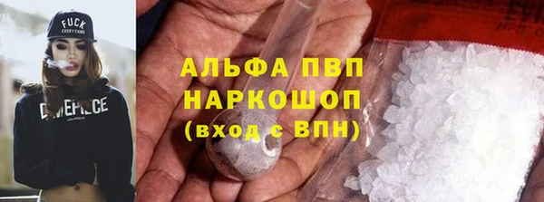 хмурый Алзамай