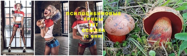 mix Алексеевка