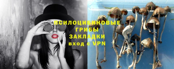 хмурый Алзамай