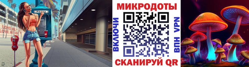 купить   Борзя  Псилоцибиновые грибы прущие грибы 